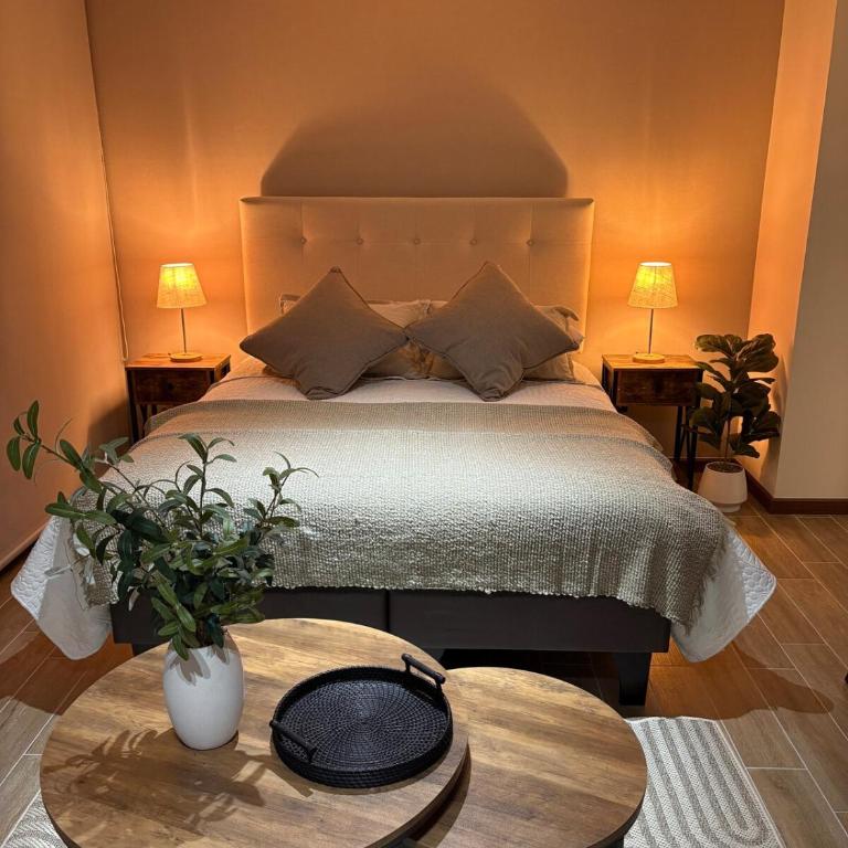 Nova Studio - One-Bedroom Apartment - 7