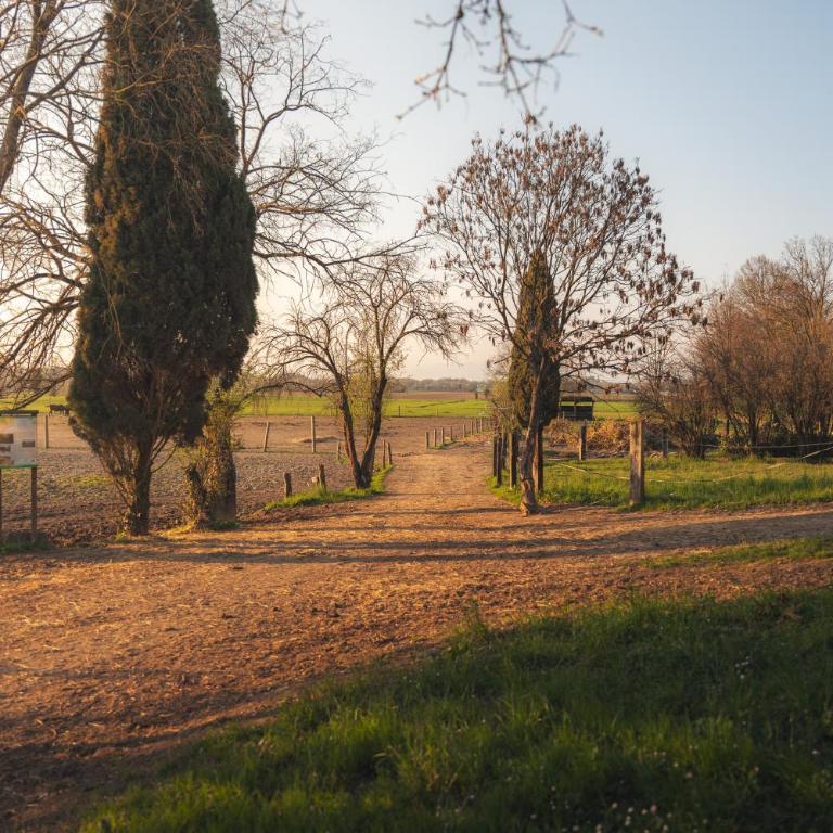 Chalet Borghetto - Chalet 1 Chambre - 24