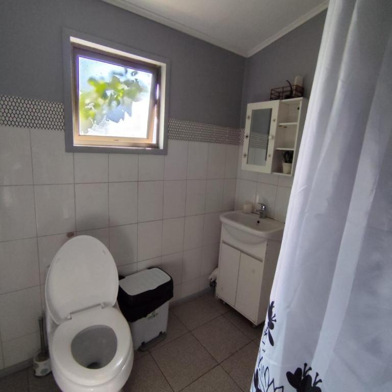 Ventisqueros Coyhaique - Three-Bedroom House - 21