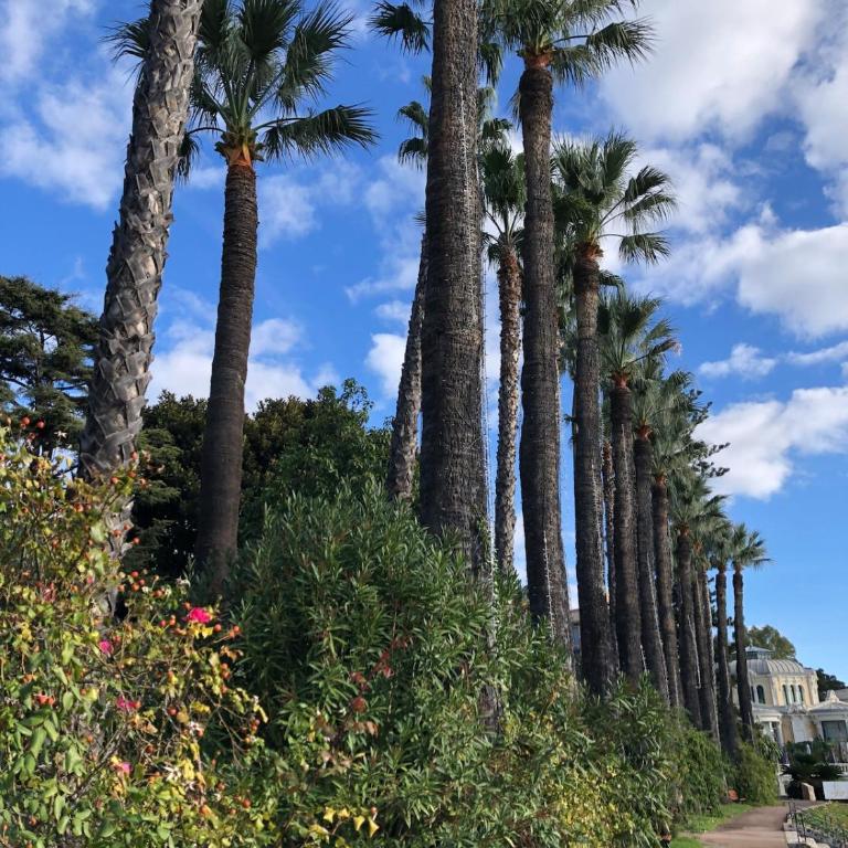 Heaven11 in Beaulieu sur Mer - Appartement 1 Chambre - 5