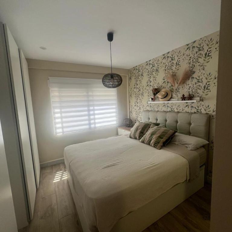 Casa Roa - Apartamento de 3 dormitorios - 2