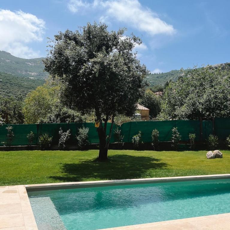 Superbe villa avec piscine au calme - Calvi - Villa de 3 dormitorios - 24