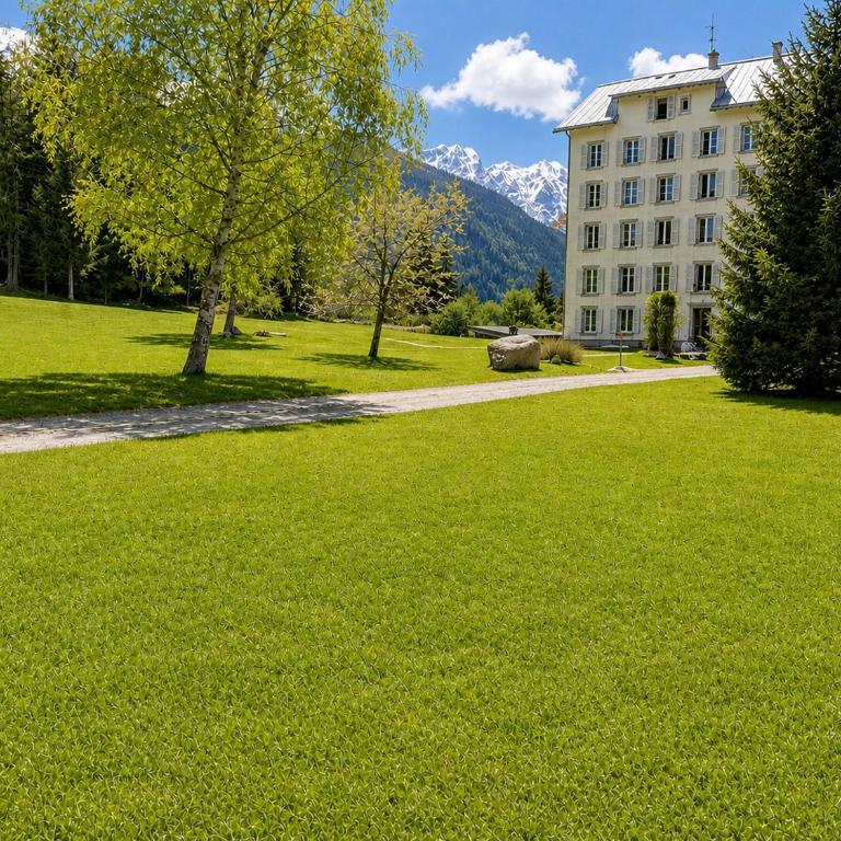SmartStay Planet - Argentiere - Apartment - 74