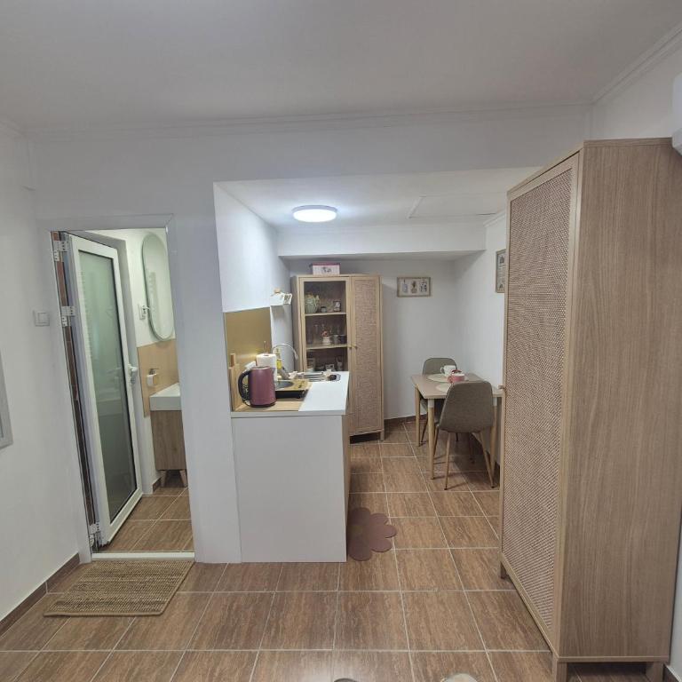 Vrapčići sa Vračara - Studio sa Bračnim Krevetom (King-size) - 22