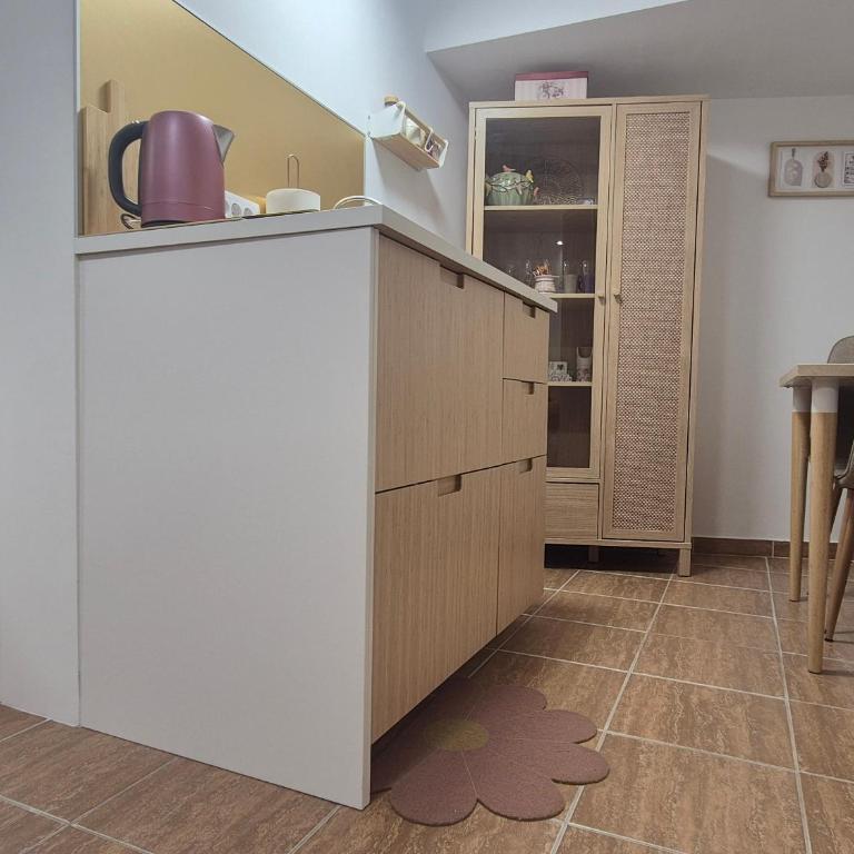 Vrapčići sa Vračara - Studio sa Bračnim Krevetom (King-size) - 29