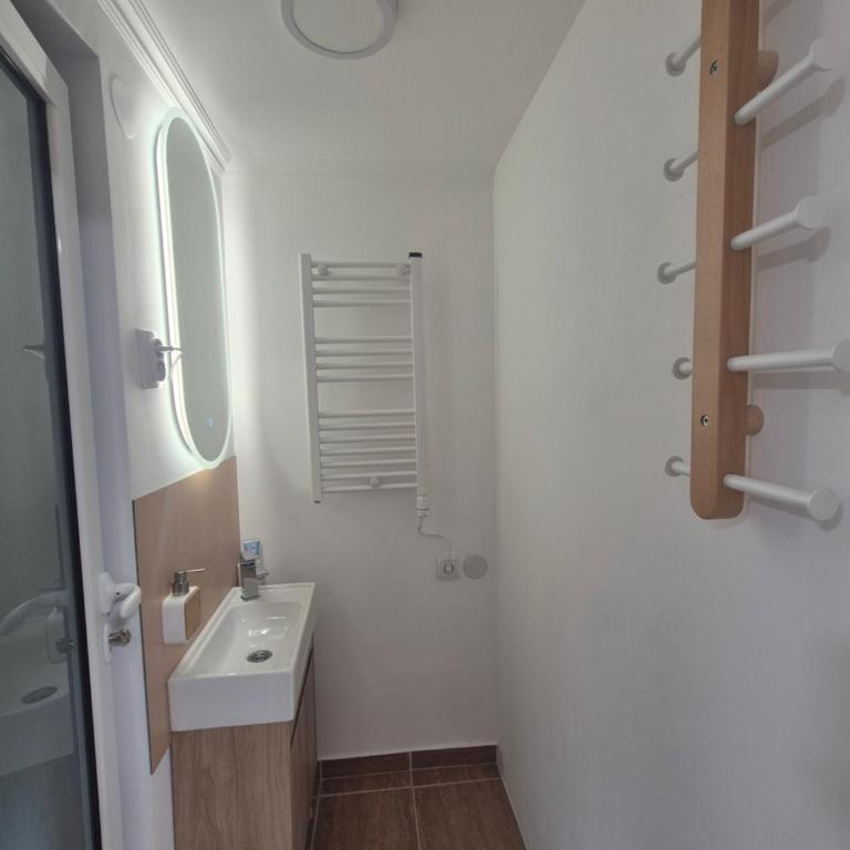 Vrapčići sa Vračara - Studio sa Bračnim Krevetom (King-size) - 30