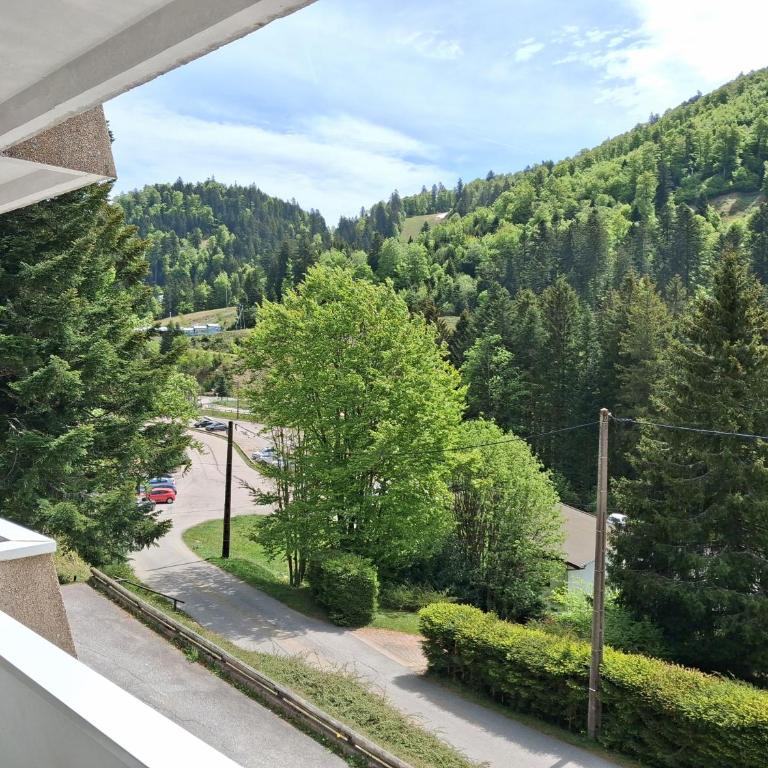 Les Oursons - Station de ski accessible à pied - Appartamento con 2 Camere da Letto - 13