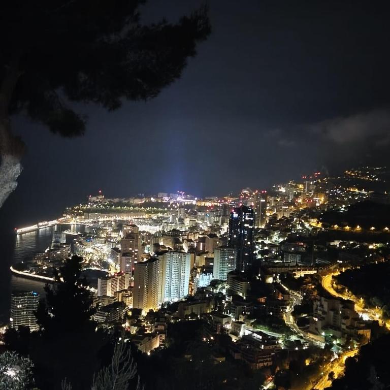 House with sea and mountain views next to Monaco - Villa 1 Chambre - 4