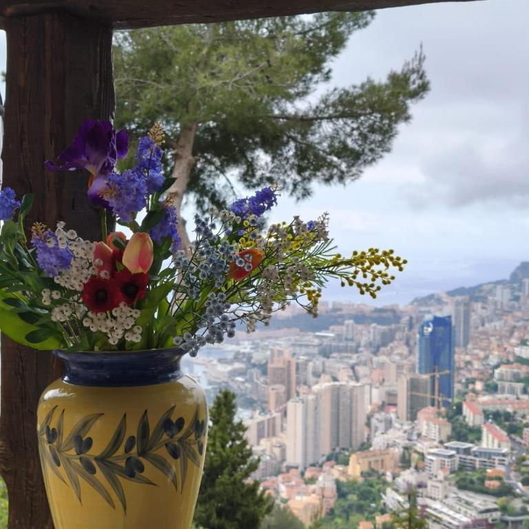 House with sea and mountain views next to Monaco - Villa 1 Chambre - 5
