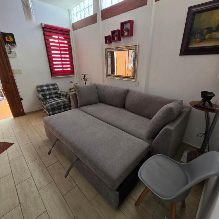 Bonito departamento en el Centro de Tlalpan - One-Bedroom Apartment - 13
