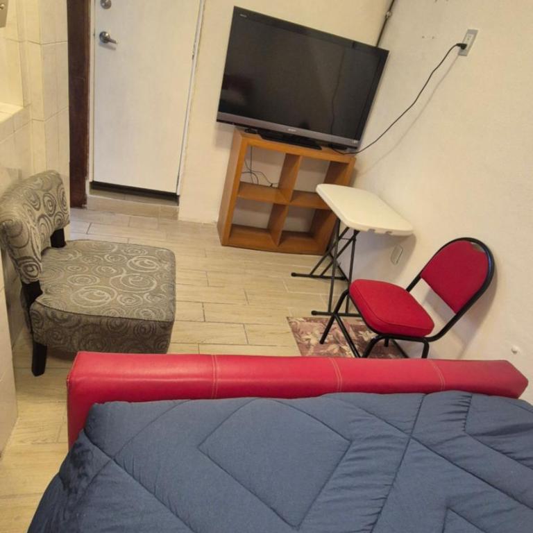 Bonito departamento en el Centro de Tlalpan - One-Bedroom Apartment - 16