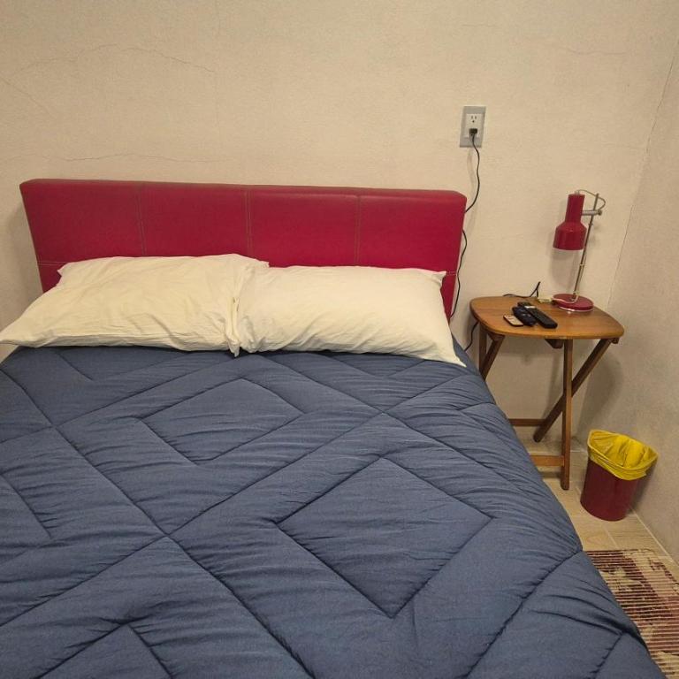 Bonito departamento en el Centro de Tlalpan - One-Bedroom Apartment - 17