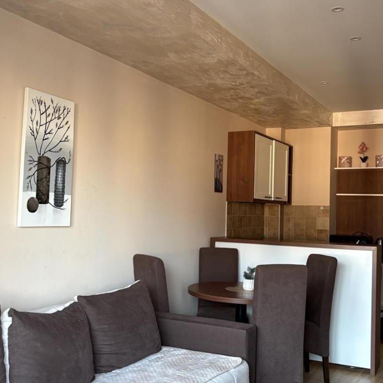 Bokica 2 Apartman Zlatibor - Apartman sa 1 Spavaćom Sobom - 2