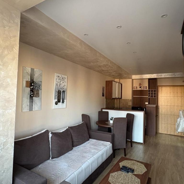 Bokica 2 Apartman Zlatibor - Apartman sa 1 Spavaćom Sobom - 3