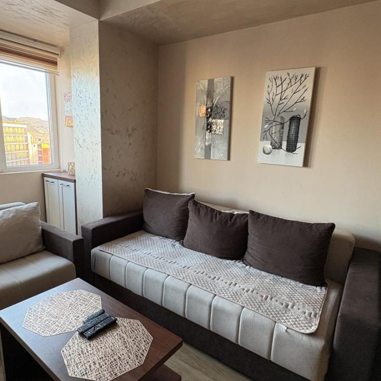 Bokica 2 Apartman Zlatibor - Apartman sa 1 Spavaćom Sobom - 5