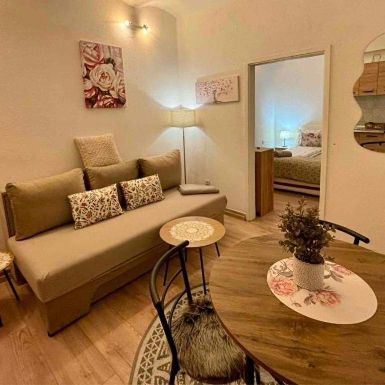 Apartment Urban Center Sarajevo - Apartman sa 1 Spavaćom Sobom - 3