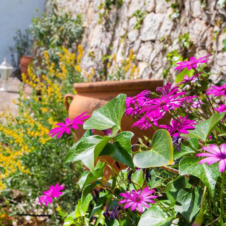 Vistalmar - fantastic sea view - Casa Vacanze - 6