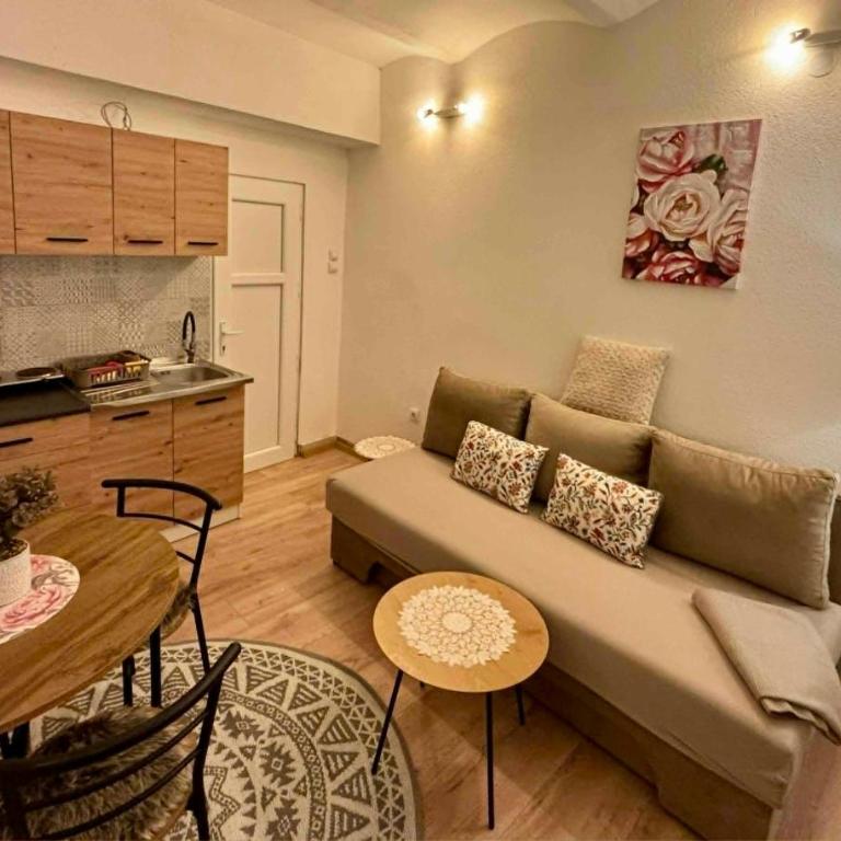 Apartment Urban Center Sarajevo - Apartman sa 1 Spavaćom Sobom - 4