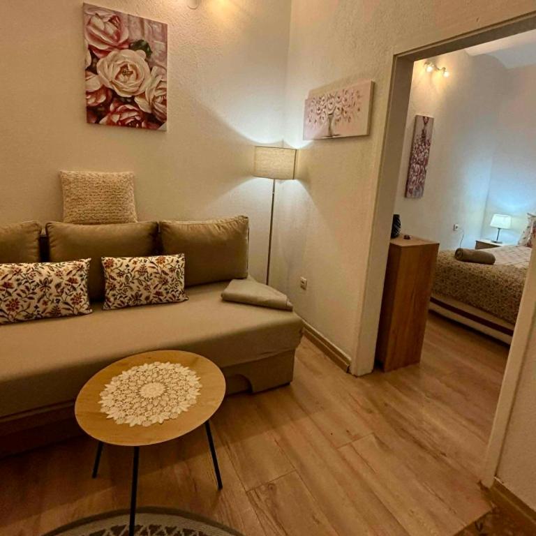 Apartment Urban Center Sarajevo - Apartman sa 1 Spavaćom Sobom - 8