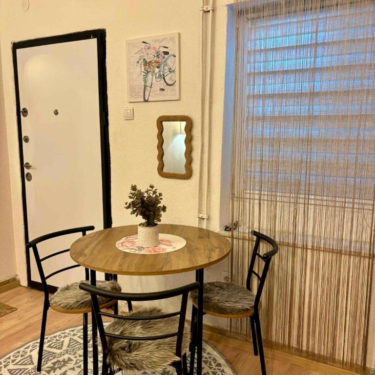 Apartment Urban Center Sarajevo - Apartman sa 1 Spavaćom Sobom - 12