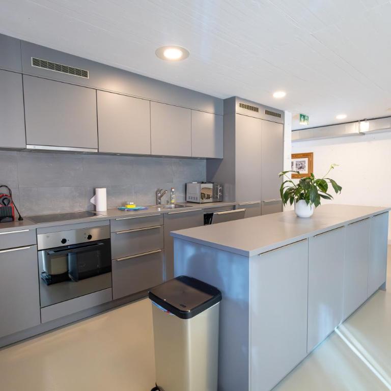 Vercorin group lodge 18 people - Appartement 3 Chambres - 3