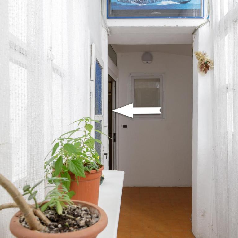 Pietra, legno e versi, casa Carducci a Trieste - Appartamento con 1 Camera da Letto - 4