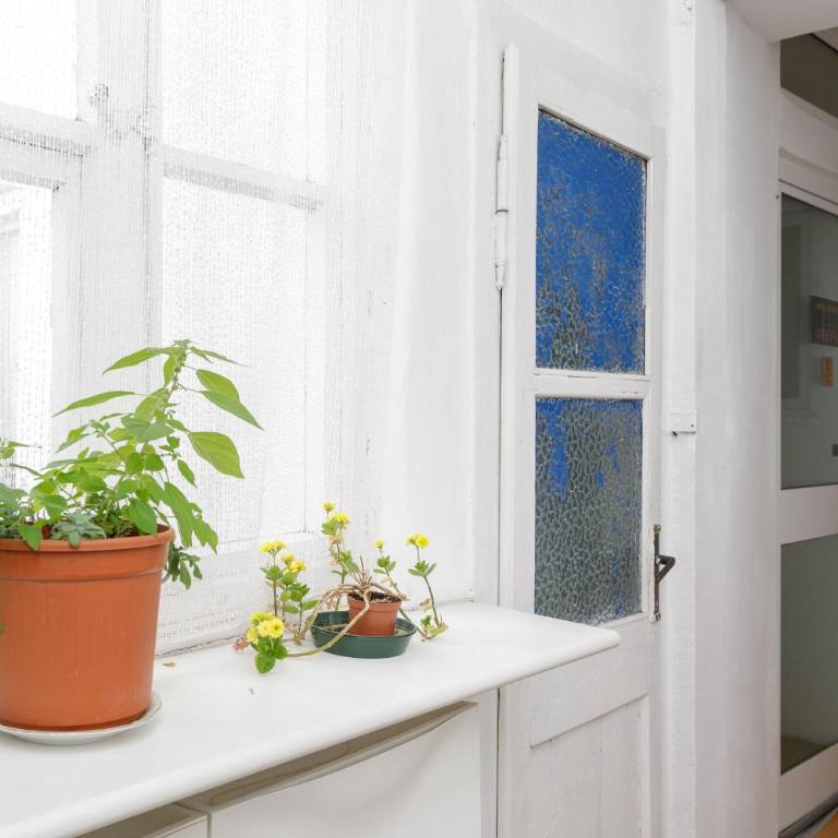 Pietra, legno e versi, casa Carducci a Trieste - Appartamento con 1 Camera da Letto - 37