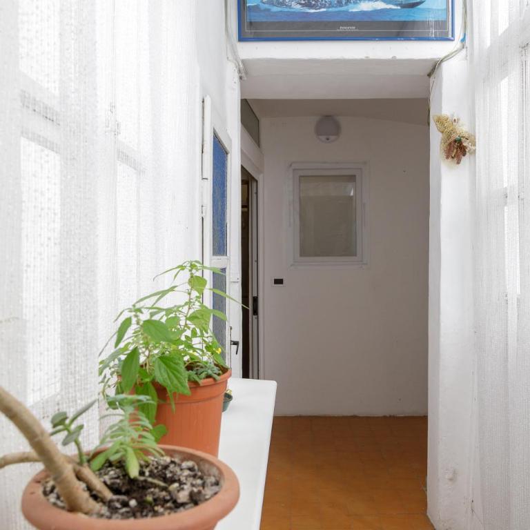 Pietra, legno e versi, casa Carducci a Trieste - Appartamento con 1 Camera da Letto - 38