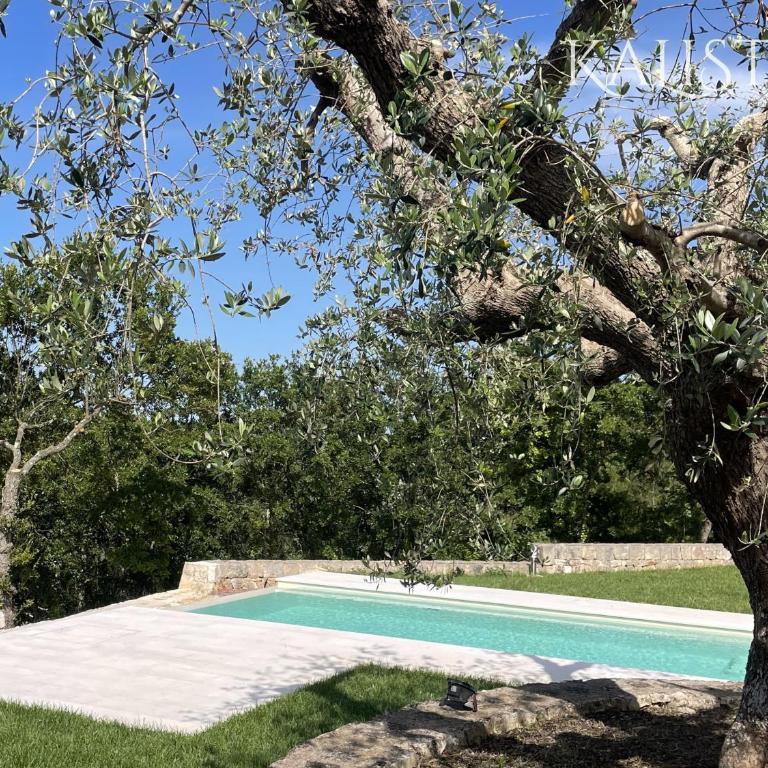 Villa San Salvatore - Appartamento Standard - 3