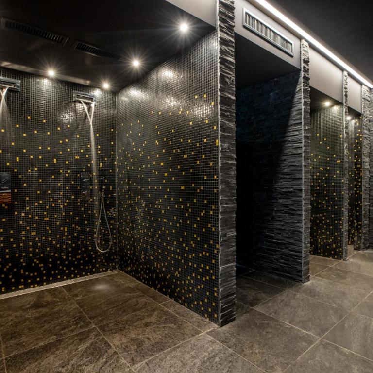 Vercorin group lodge 18 people - Appartement 3 Chambres - 21
