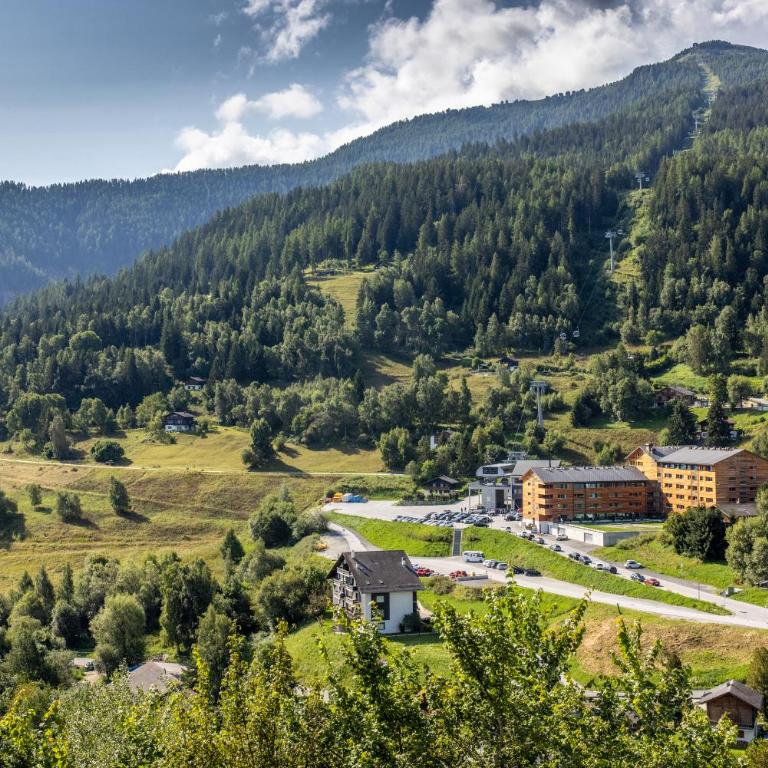 Vercorin group lodge 18 people - Appartement 3 Chambres - 27