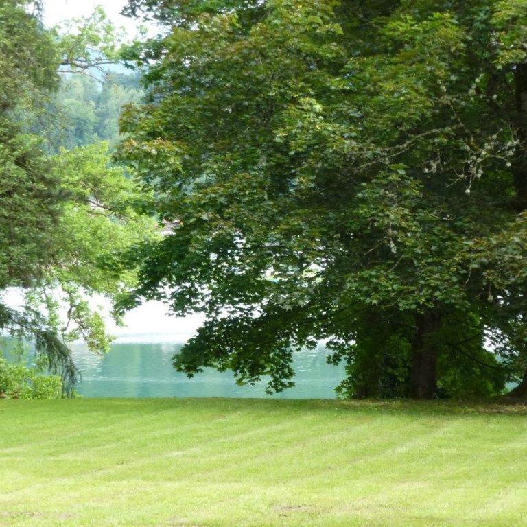 Ferienhaus Leitgeb - Ferienhaus mit Dusche - 2