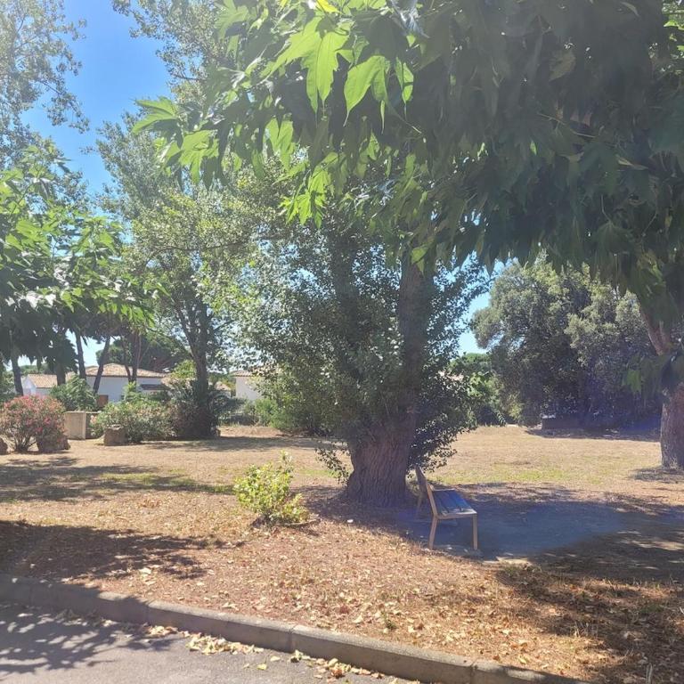 Serena - T2 calme et confortable proche plage et commerces - Apartamento de 1 dormitorio - 16