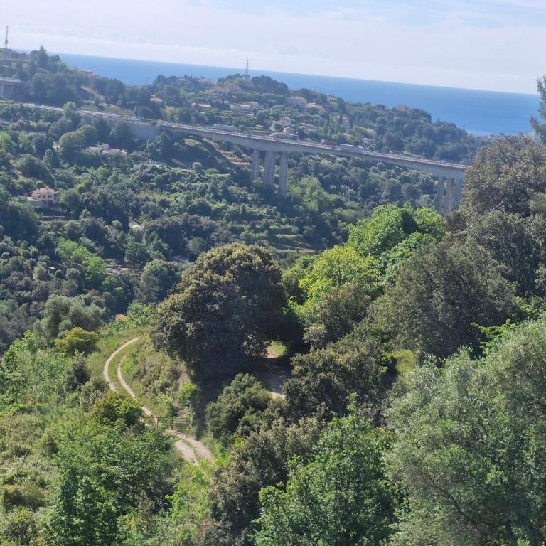 Maison Nice bellet - Villa - 15