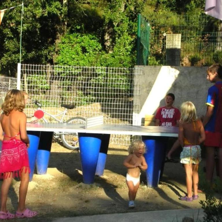 ZEcamping 3 à 4km de la plage piscine chiens acceptés jacuzzi - Mobile Home - 18