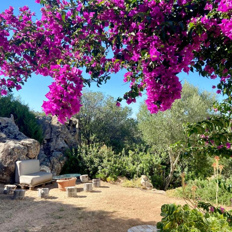 Sogno Suite - Appartamento con 1 Camera da Letto e Vista Giardino - 33