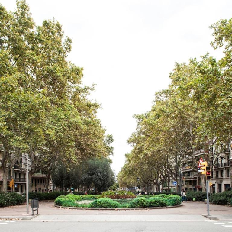 Gracia Lovely Apartment 233S - Two-Bedroom Apartment - 19