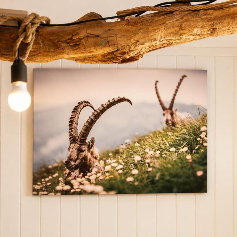 CROWN LIVING Holiday Home "Zum Klettersteig" Bürs, up to 18 guests - Sauna - Climbing Wall - Ski & Bike Storage - Highspeed Wifi - Free Parking - Casa con 6 Camere da Letto - 12