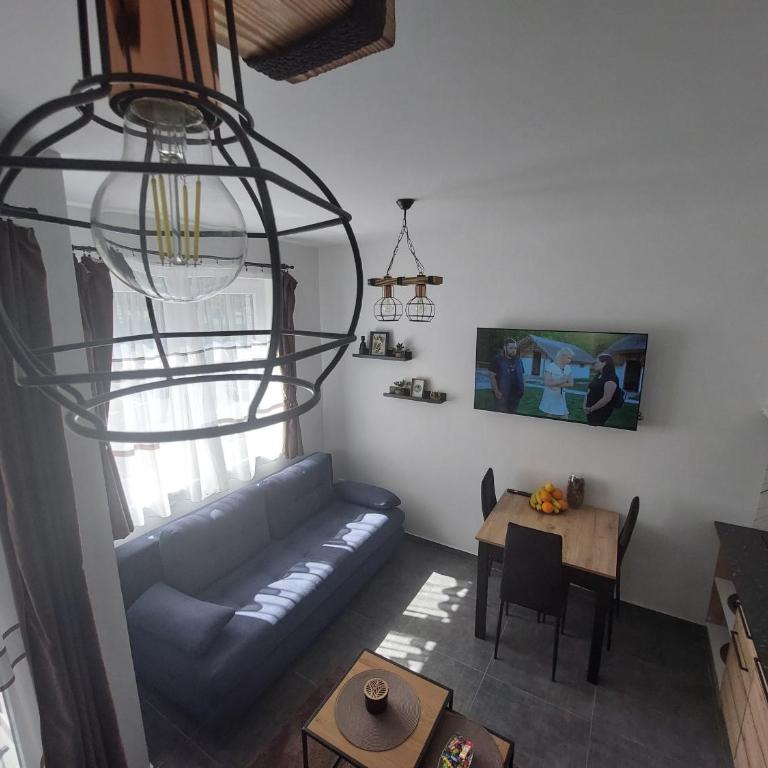 Planinski miš Divčibare - Porodični Studio - 13