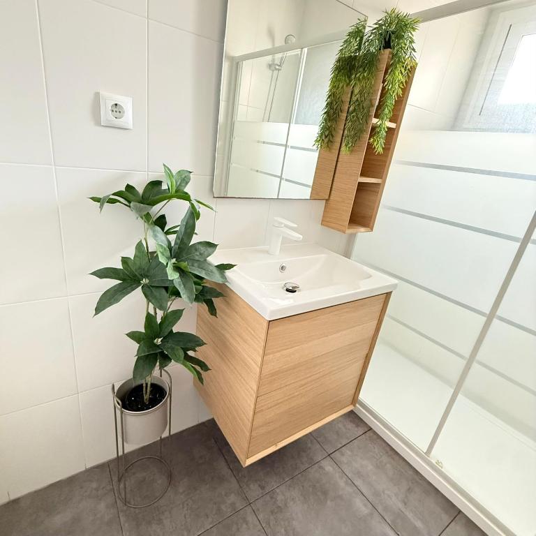 Refugio Naranja - Three-Bedroom Apartment - 16