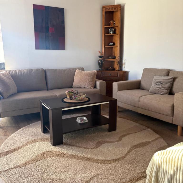 Apartman Jamaković - Free Garage Parking - Apartman sa 1 Spavaćom Sobom - 7