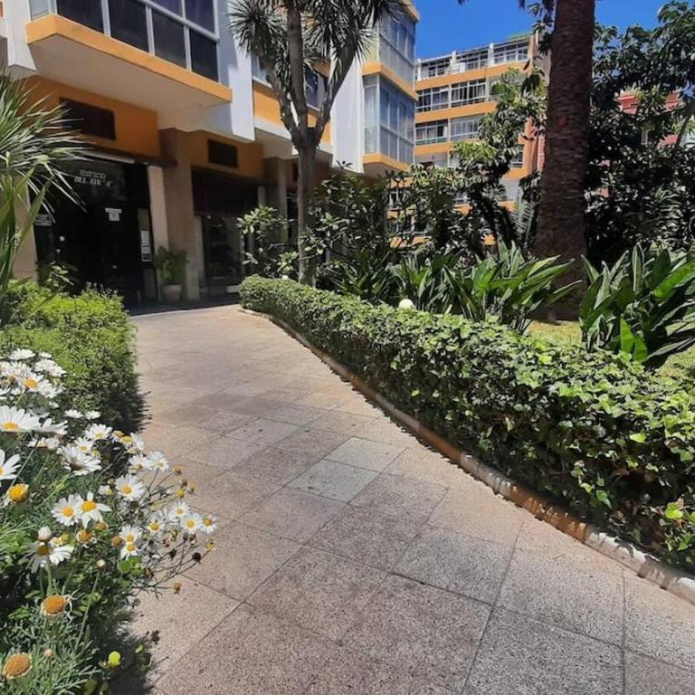 Apartamento moderno con vistas en Puerto de la Cruz - Apartamento de 1 dormitorio - 3