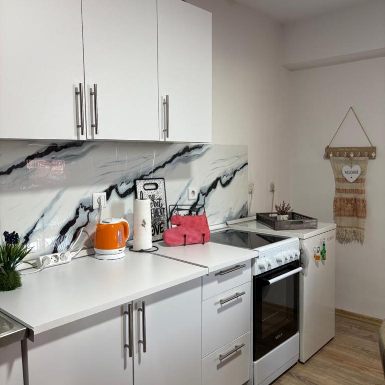 Apartman Jamaković - Free Garage Parking - Apartman sa 1 Spavaćom Sobom - 11