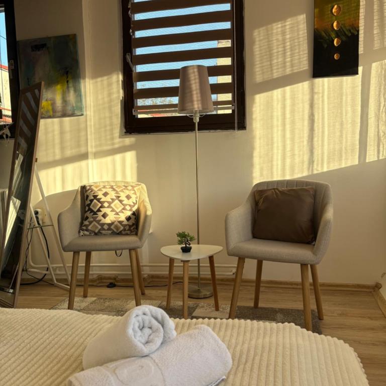 Apartman Jamaković - Free Garage Parking - Apartman sa 1 Spavaćom Sobom - 6