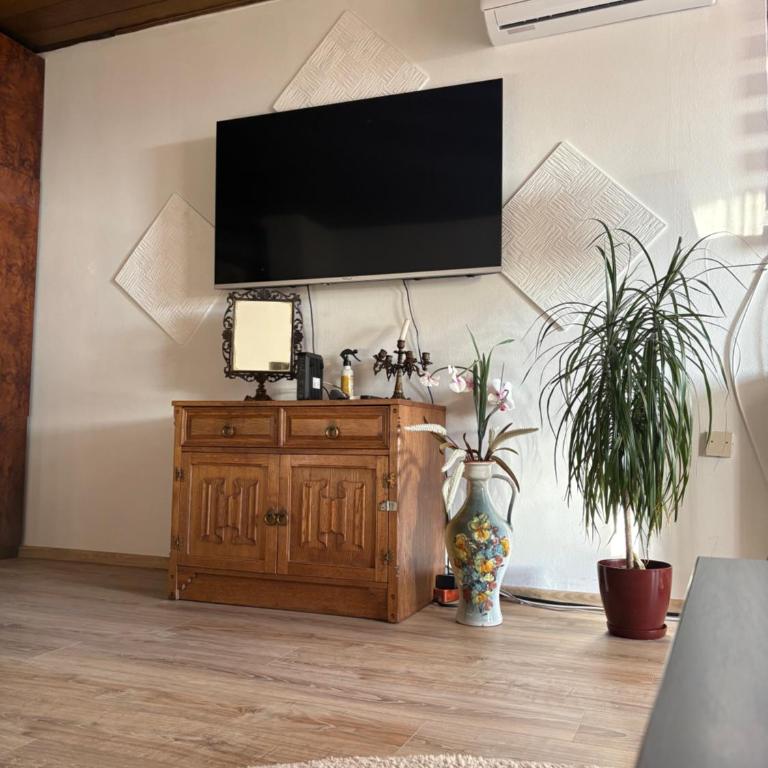 Apartman Jamaković - Free Garage Parking - Apartman sa 1 Spavaćom Sobom - 8
