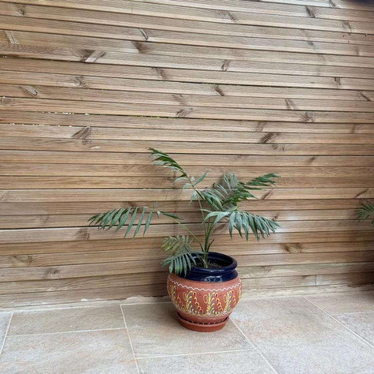 Ónice de Riviera 2 - Apartamento de 1 dormitorio - 25