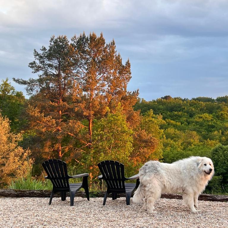 Countryside Views Near Sarlat - Goats, Ducks & Chickens - Farm Experience - Haus mit 4 Schlafzimmern - 24