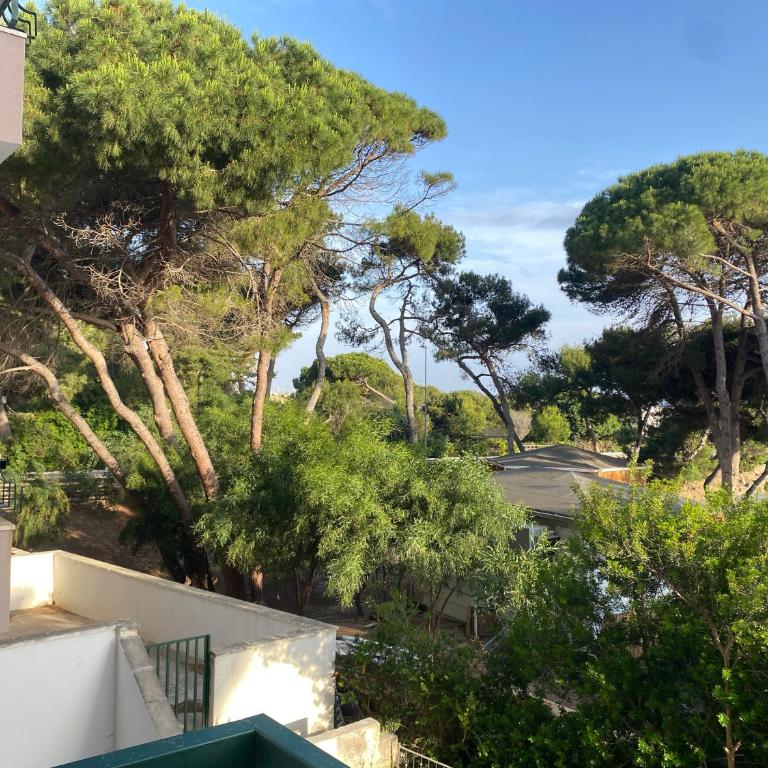La Torre Gallipoli Centro by Sweet Home Puglia - Appartamento con 3 Camere da Letto - 35