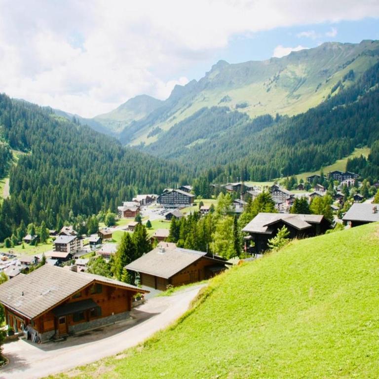 Chalet Le Jeuna - Chalet mit 3 Schlafzimmern - 15
