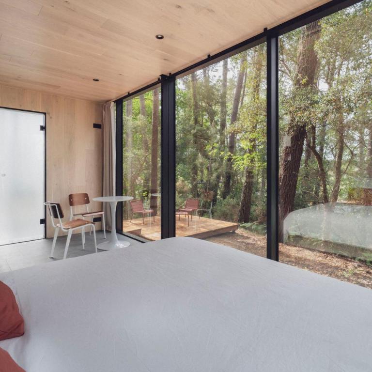 Bonjour Sauvage Seignosse - Appartement 1 Chambre de Luxe - Vue sur Jardin - 2